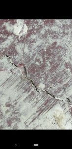 photo_2023-07-08_16-30-09 (4).jpg