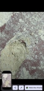 photo_2023-07-08_16-30-11 (2).jpg