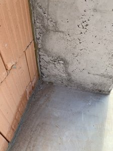 IMG_5603.jpeg