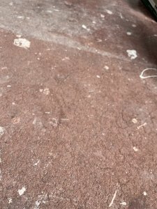 photo1688927594 (1).jpeg