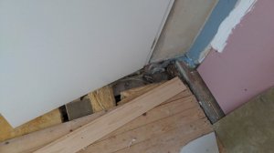 PHOTO-2023-07-07-16-56-53 2.jpg