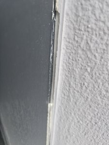 20230719_055304.jpg