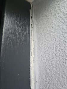 20230719_055312.jpg