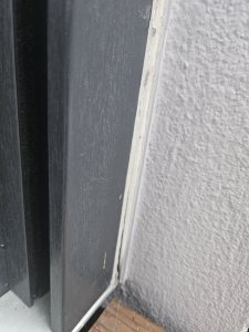 20230719_055322.jpg