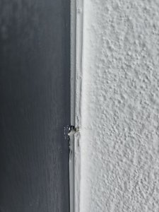 20230719_055536.jpg