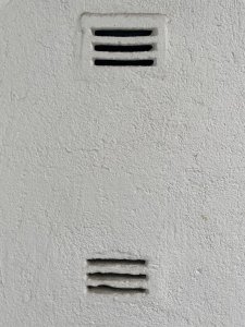 IMG_9447.jpeg