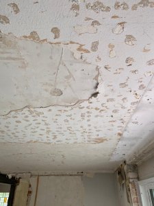 CA0FFF76-1B8D-4569-895E-A81716AC53A7.jpeg
