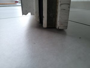20230723_212236.jpg