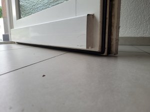 20230724_134604.jpg