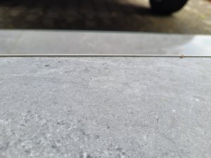 20230724_091339.jpg