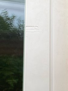 IMG_6161.jpeg