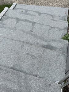 IMG_7394.jpeg