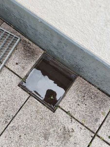 InnenGefuellt.JPG