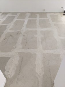 PXL_20230731_054125523.jpg
