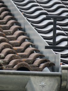 S-Seite 29Juni23_04_links mein Haus.JPG