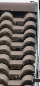 S-Seite 29Juni23_05_links mein Haus.JPG