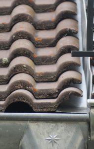 S-Seite 29Juni23_07_links mein Haus.JPG