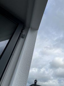 IMG_1081.jpeg