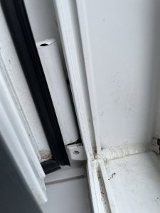 IMG_1082.jpeg