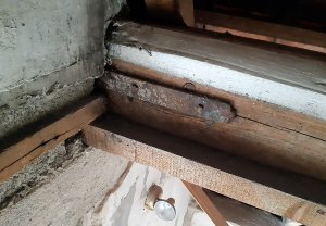 threema-20230801-145914341 Kopie.jpg