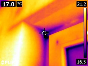 FLIR1783.jpg