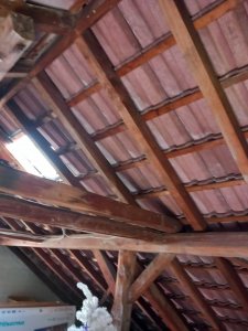 20230804_180816.jpg