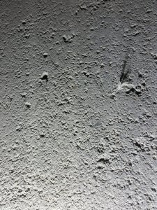 20230801_213251.jpg