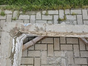 20230806_193136.jpg
