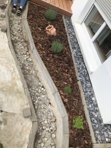 IMG_0339.jpeg