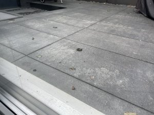 IMG_6003.jpeg