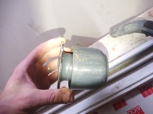 IMG_20230729_115316.jpg