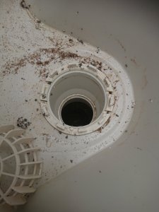 IMG_20230730_121624.jpg