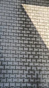 20230814_095515.jpg
