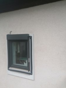 IMG_20230817_134446.jpg