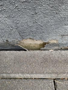 IMG_1521.jpeg