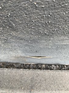 IMG_1520.jpeg