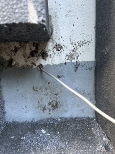 0FA35D10-3930-4101-A889-C6E41E8E51F7.jpeg