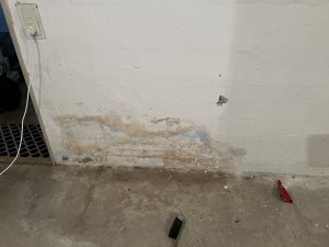 IMG_0948.jpeg