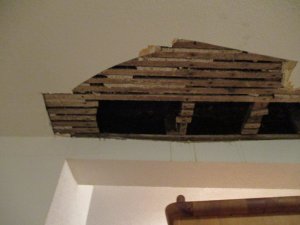 IMG_3439.JPG