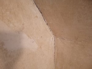 IMG_20230822_113225_787.jpg