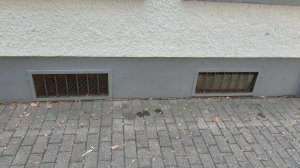 20230820_143659.jpg