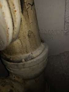 IMG_20230823_111113.jpg
