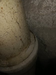 IMG_20230823_111121.jpg