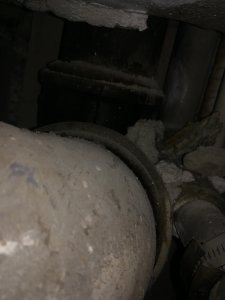 IMG_20230823_111412.jpg