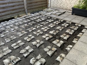 IMG_3532.jpeg
