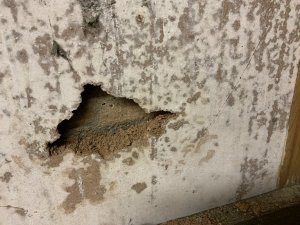 IMG_3561.jpeg