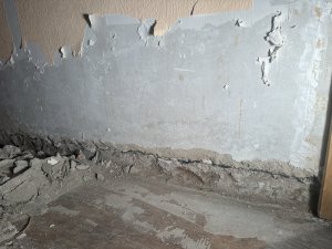 IMG_2002.jpeg