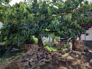 WhatsApp Image 2023-08-24 at 12.39.28.jpeg