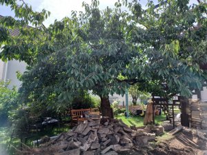 WhatsApp Image 2023-08-24 at 12.39.27 (1).jpeg