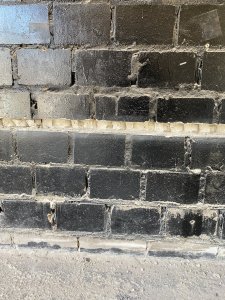 IMG_9284.jpeg